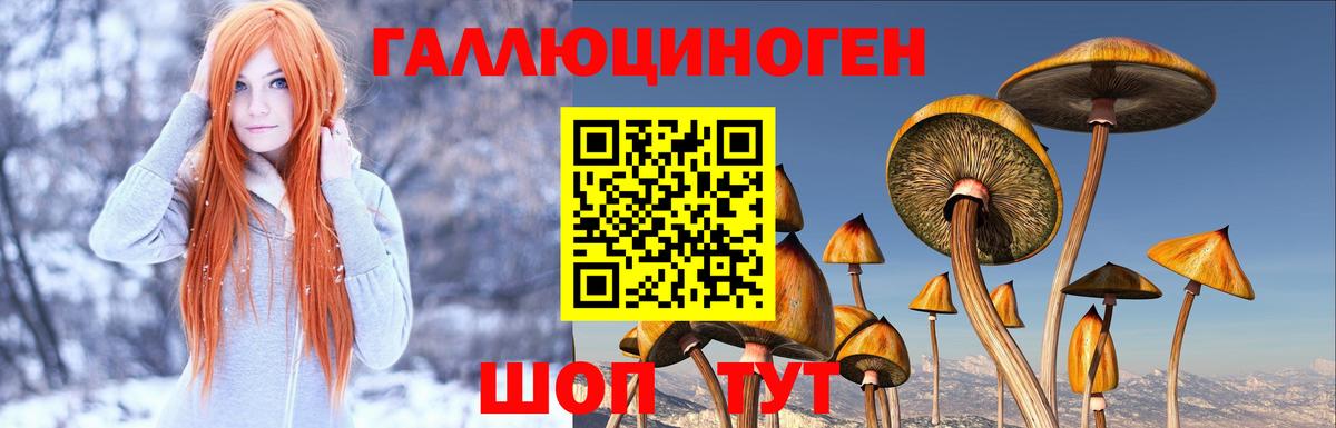 Коряжма  Псилоцибиновые грибы мухоморы  Вход с VPN 